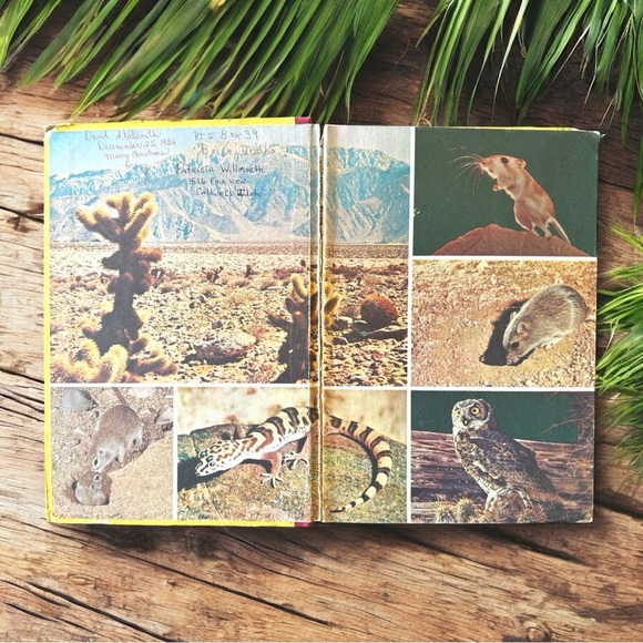 VINTAGE 1954 Walt Disney’s Living Desert - A True-Life Adventure Hardcover - Picture 8 of 16